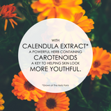 The Herb Farm- Renew & Refine Cream Cleanser 200ml