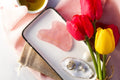 Hayley Benseman - Rose Quartz Gua Sha Stone