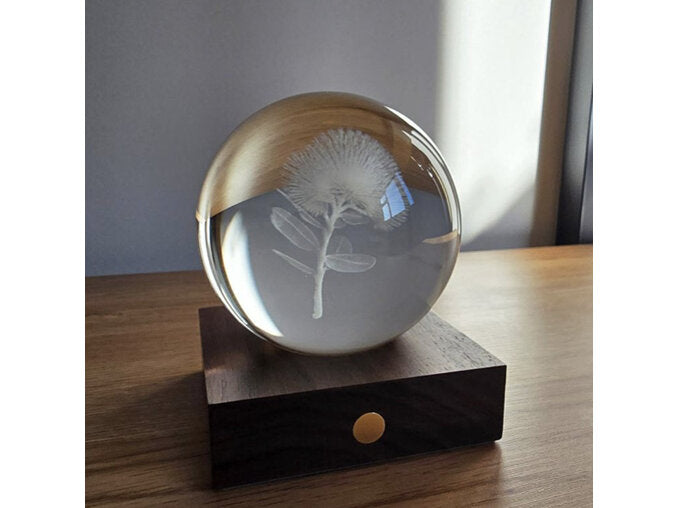 Gingko Design- Laser engraved Light 3D