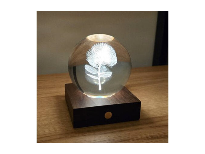 Gingko Design- Laser engraved Light 3D