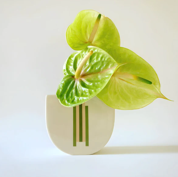 Erin Lightfoot - Sunroom Boat Vase