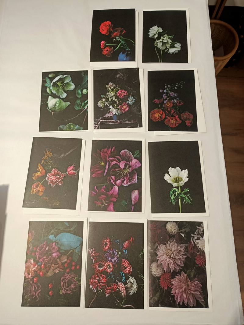 Helen Bankers - NEW Floral Artworks Greeting Cards