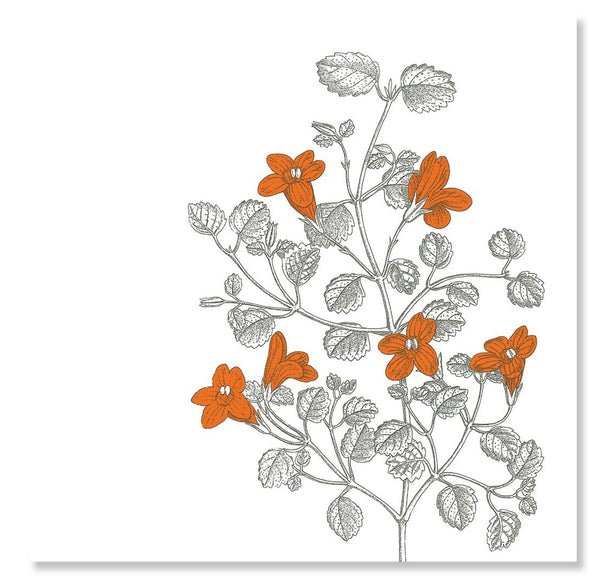 Taupero Cotton Napkin 50x50