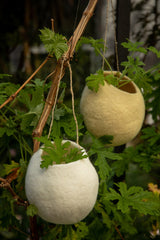 Muskhane- Hanging Nest Bowl F&H