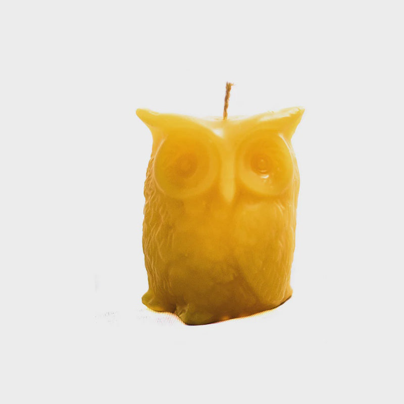 Hexton - Pure Beeswax Owl Candle